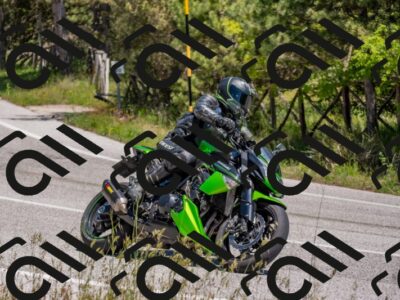 202505251321-DSC_2557_c4_