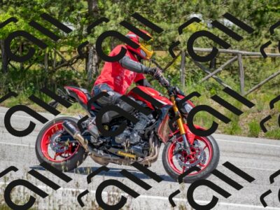 202505251328-DSC_2610_c4_