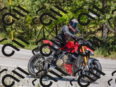 202505251328-DSC_2612_c4_