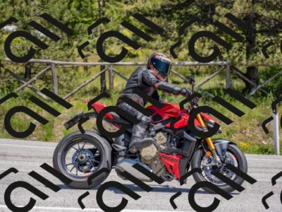 202505251328-DSC_2613_c4_