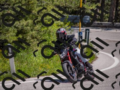 202505251336-DSC_2643_c4_