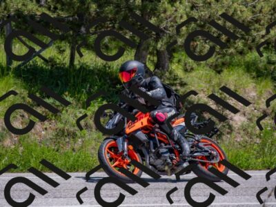 202505251336-DSC_2654_c4_