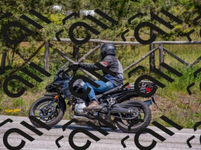 202505251339-DSC_2699_c4_