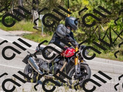 202505251342-DSC_2703_c4_