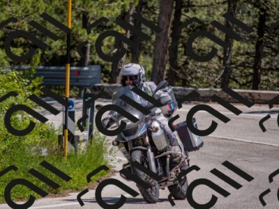 202505251343-DSC_2715_c4_