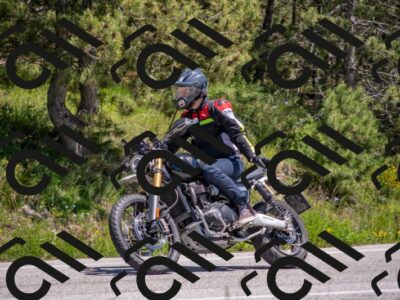 202505251344-DSC_2726_c4_