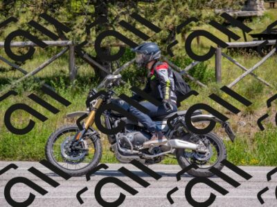 202505251344-DSC_2727_c4_