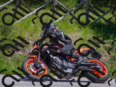 202505251347-DSC_2762_c4_