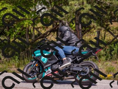 202505251347-DSC_2772_c4_