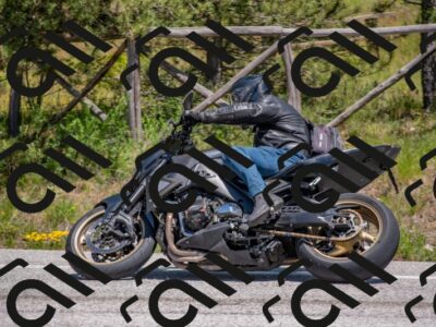 202505251347-DSC_2776_c4_