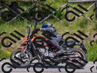 202505251350-DSC_2799_c4_