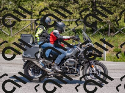 202505251353-DSC_2814_c4_