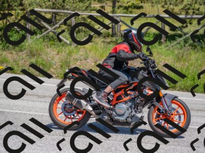 202505251355-DSC_2823_c4_