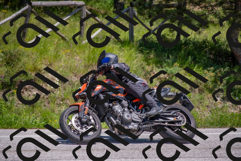 202505251400-DSC_2838_c4_