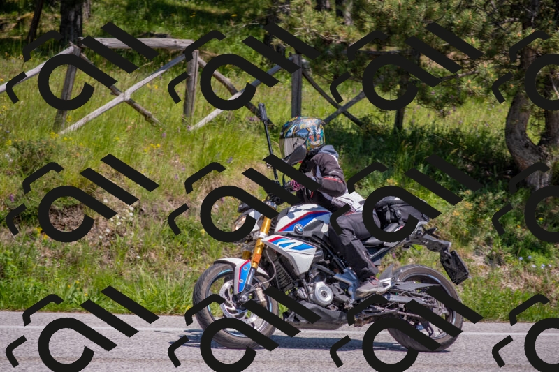 202505251400-DSC_2843_c4_