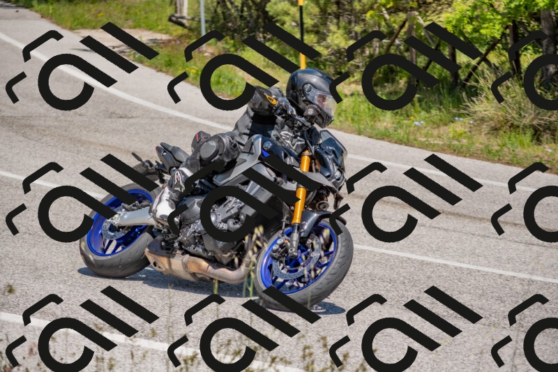 202505251402-DSC_2847_c4_