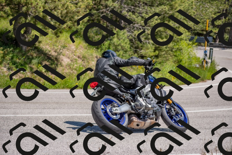 202505251402-DSC_2849_c4_