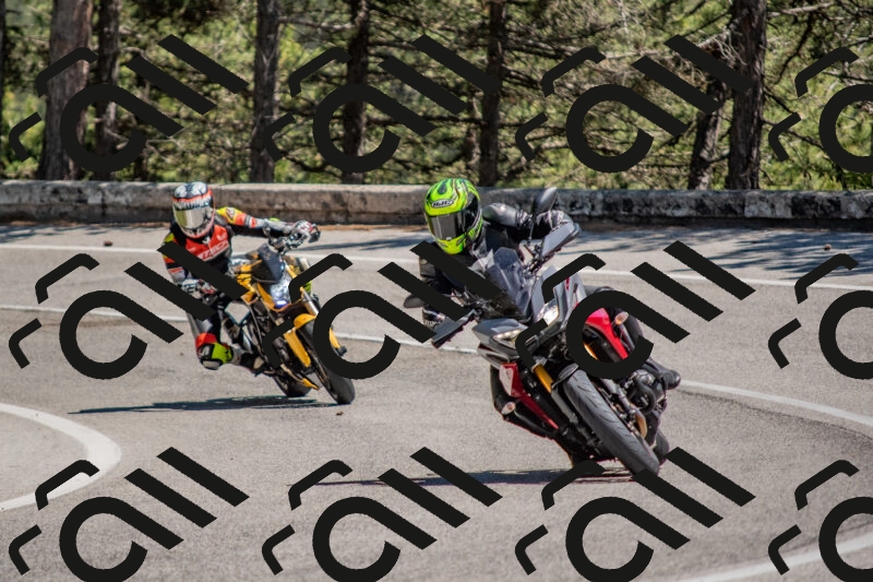 202505251403-DSC_2857_c4_