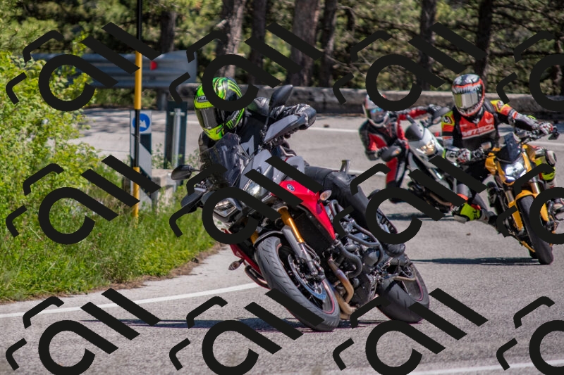 202505251403-DSC_2858_c4_