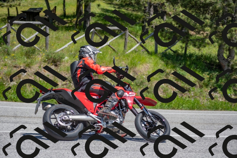 202505251408-DSC_2872_c4_