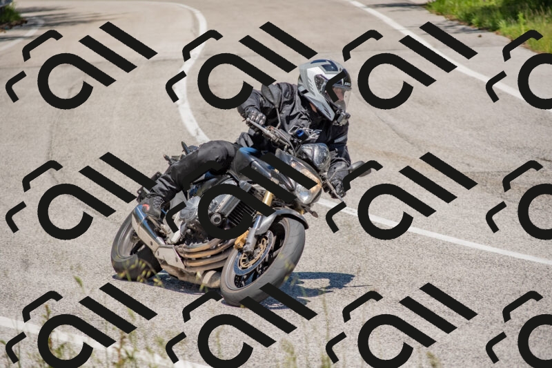 202505251408-DSC_2873_c4_