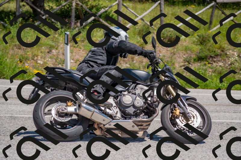 202505251408-DSC_2875_c4_