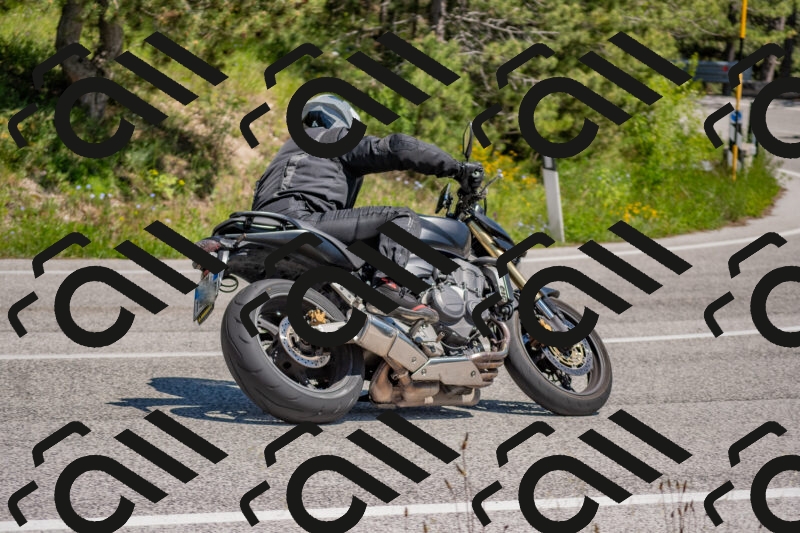 202505251408-DSC_2876_c4_