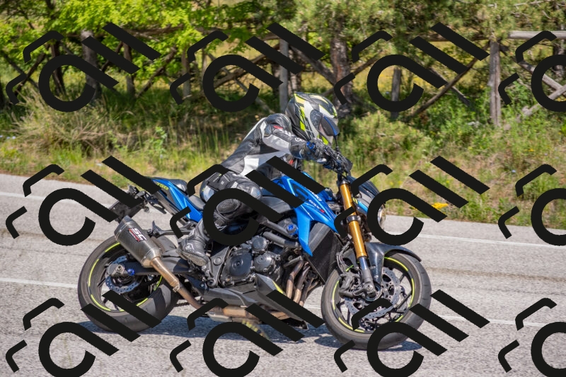 202505251408-DSC_2878_c4_