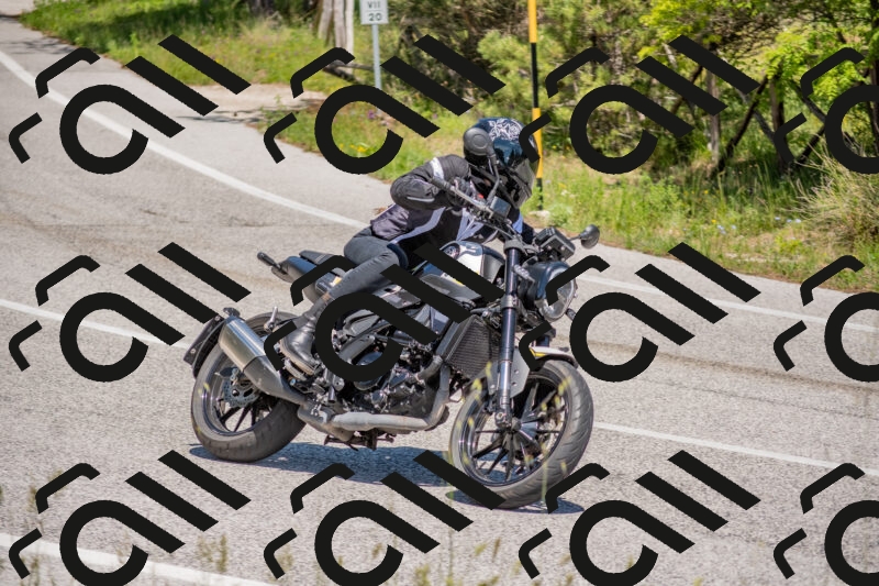 202505251409-DSC_2883_c4_