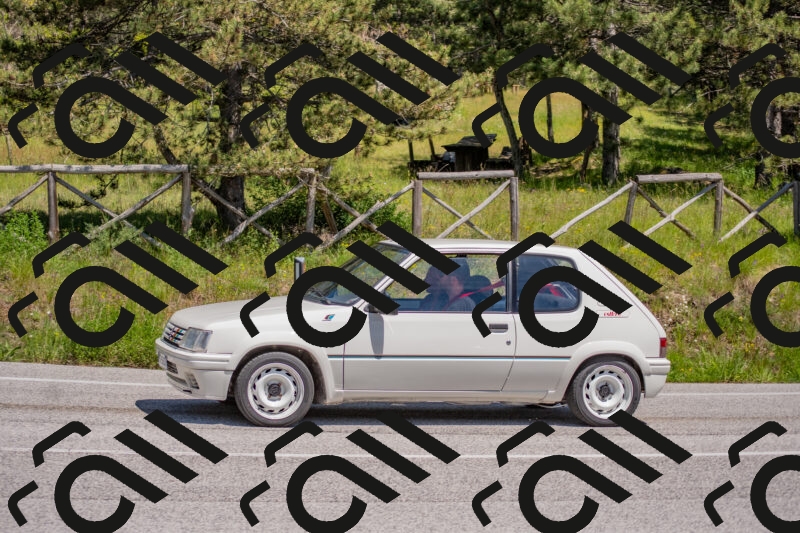 202505251409-DSC_2886_c4_