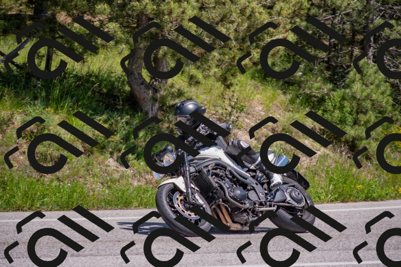 202505251410-DSC_2896_c4_