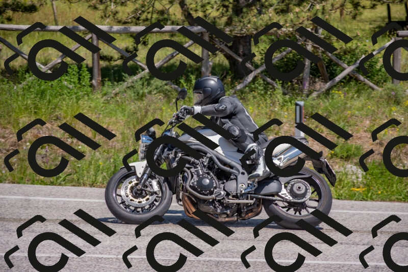 202505251410-DSC_2897_c4_