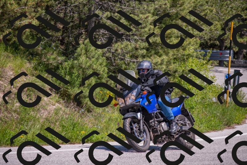 202505251413-DSC_2905_c4_