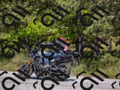 202505251420-DSC_2974_c4_