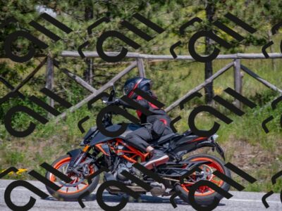 202505251420-DSC_2977_c4_