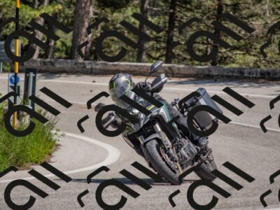 202505251424-DSC_3000_c4_