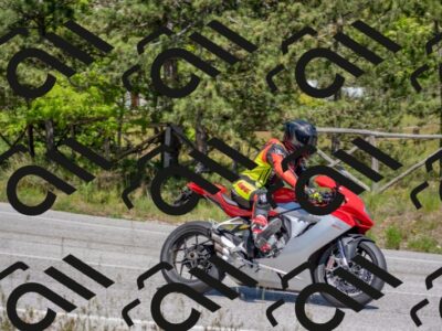 202505251428-DSC_3013_c4_