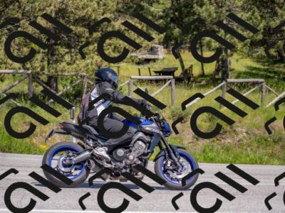 202505251429-DSC_3018_c4_