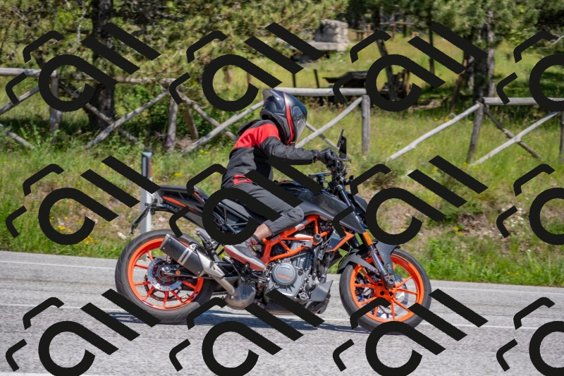 202505251431-DSC_3030_c4_