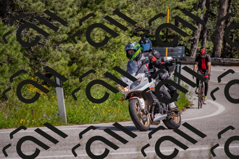 202505251433-DSC_3035_c4_