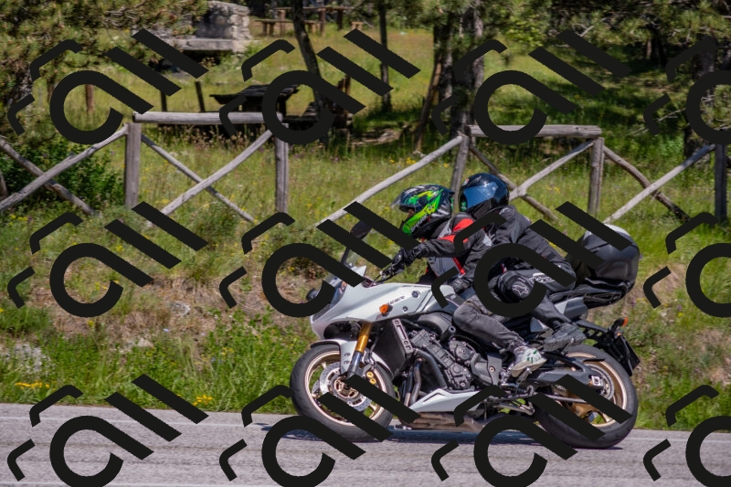 202505251433-DSC_3037_c4_