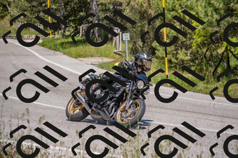 202505251437-DSC_3044_c4_