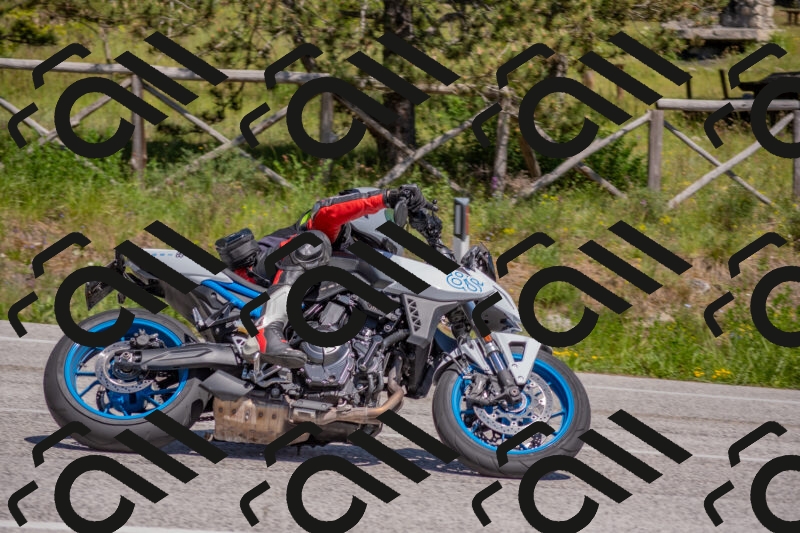 202505251437-DSC_3047_c4_