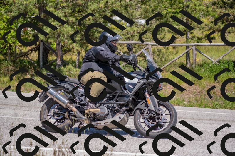 202505251437-DSC_3049_c4_