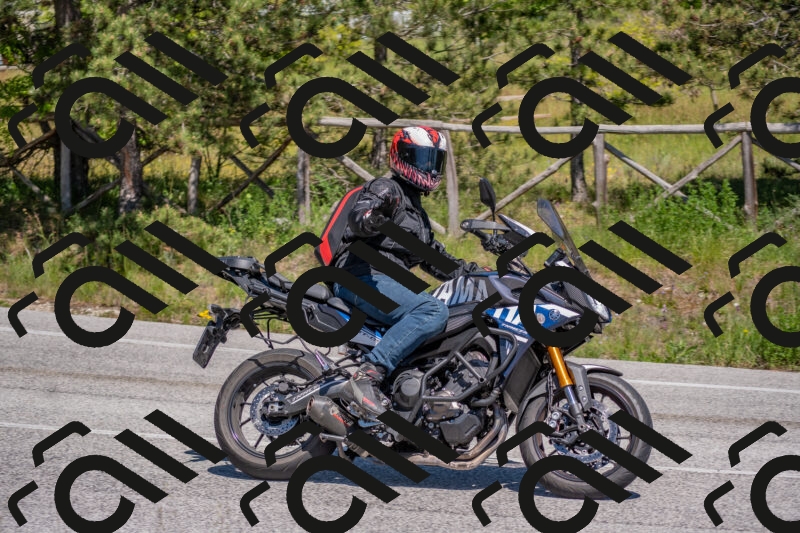 202505251437-DSC_3052_c4_