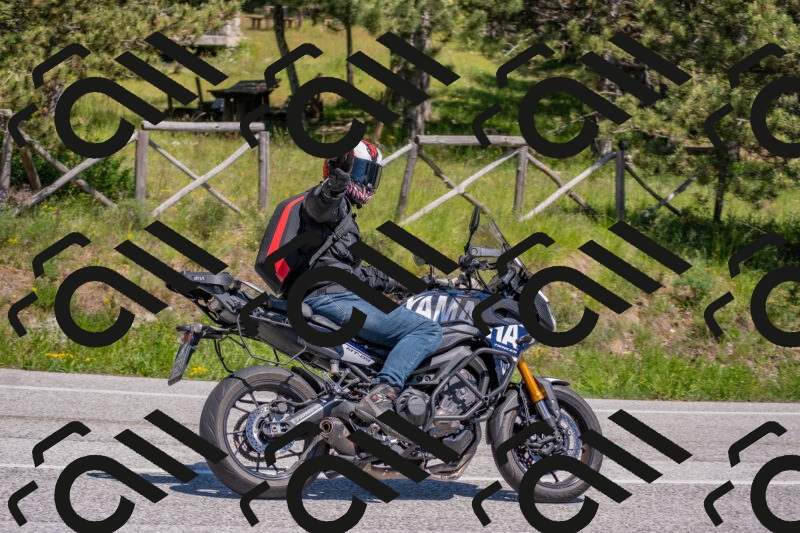 202505251437-DSC_3053_c4_