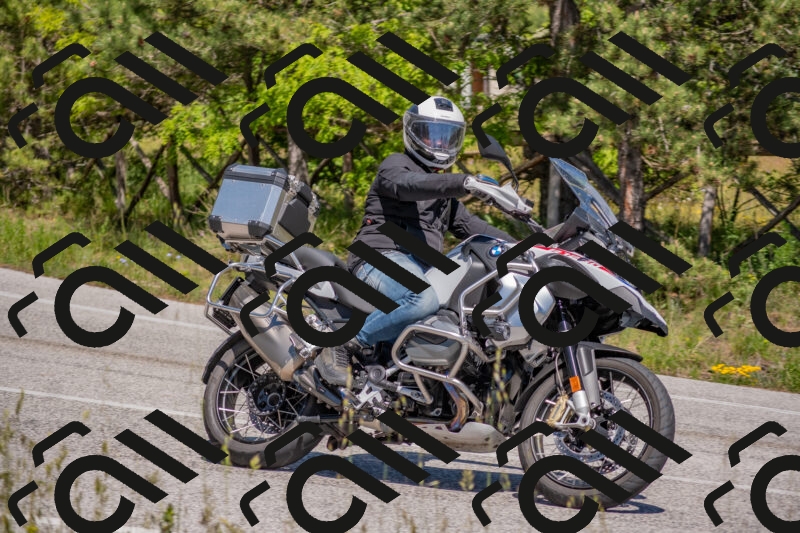 202505251445-DSC_3054_c4_