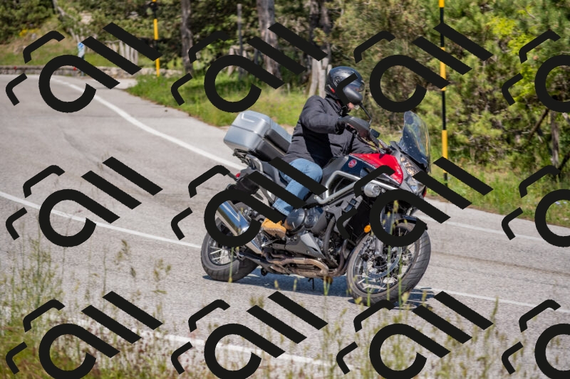 202505251445-DSC_3056_c4_