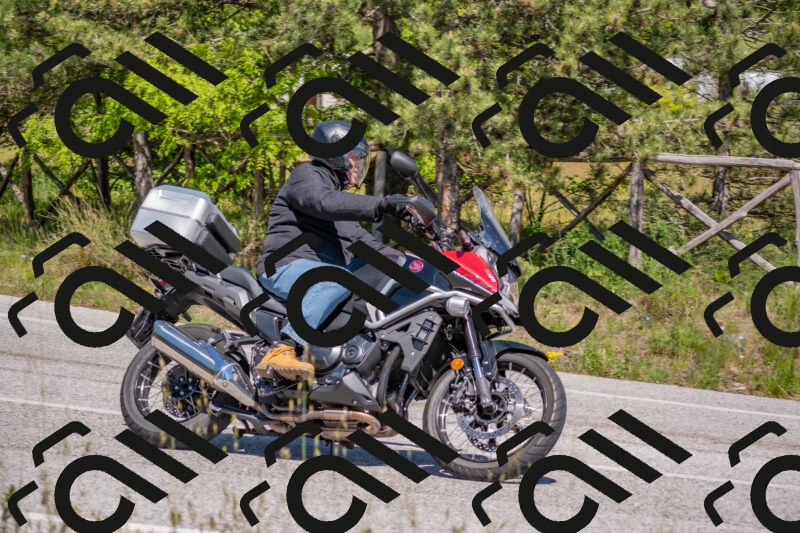 202505251445-DSC_3057_c4_