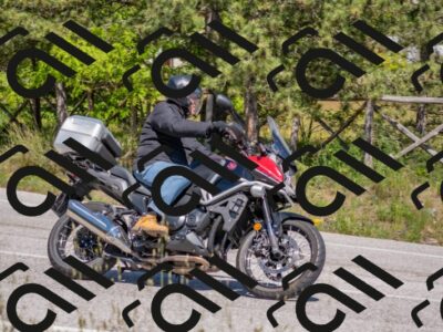 202505251445-DSC_3057_c4_